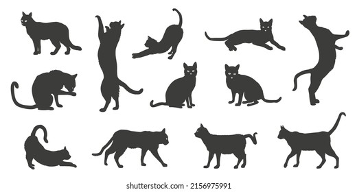 cat silhouettes on the white background 2022
