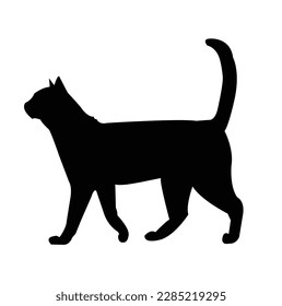 siluetas de gato sobre fondo blanco. Ilustración vectorial. gato aislado