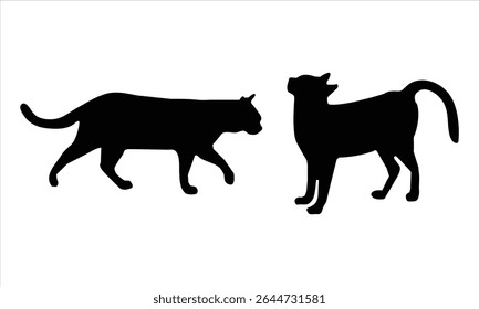 Cat silhouettes on a white background