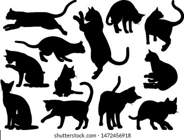 A cat silhouettes pet animals graphics set 