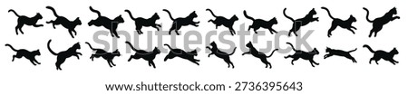 cat silhouettes set of black cats jumping and running 
