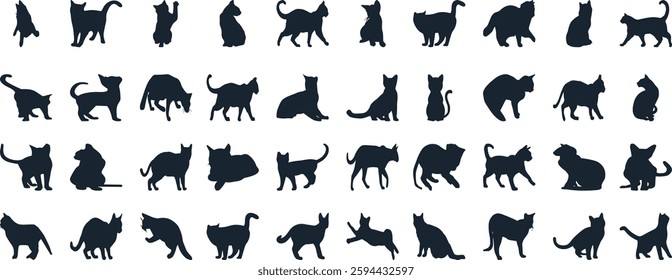 Cat Silhouettes Vector Illustration, perfect for Halloween, cat lovers. Features various cat poses, paw prints. Ideal for pet, animal, feline, domestic, house cat