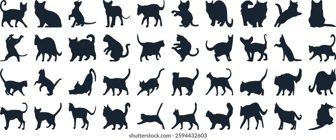 Cat Silhouettes Vector Illustration, perfect for Halloween, cat lovers. Features various cat poses, paw prints. Ideal for pet, animal, feline, domestic, house cat