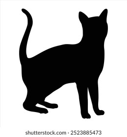 Cat silhouettes. Cat vector illustrations. Cat silhouette icons isolated. Black White.