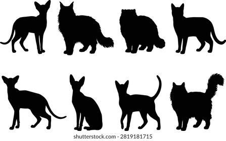 Cat silhouettes vector set featuring various purebred feline poses isolated on white background for pet design elements