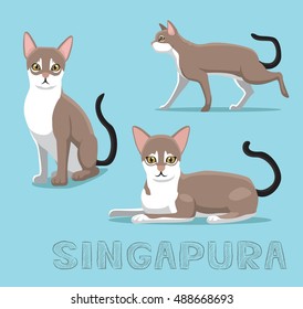 Cat Singapura Cartoon Vector Illustration