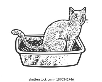 cat sit on cat litter box sketch engraving vector illustration. T-shirt apparel print design. Scratch board imitation. Black and white hand drawn image.