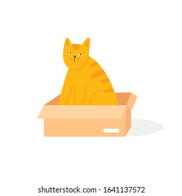 Cat sits in a box, pets. Flat style vector illustration