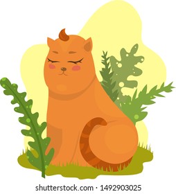 Cat sits in the grass warm summer day