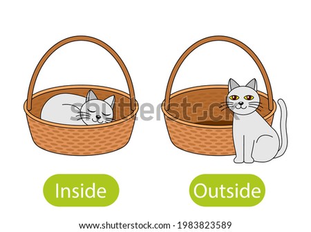 the cat sits inside the box and next to the basket. the concept of children learning opposite prepositions inside and out. vector illustration isolated on white background