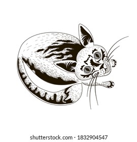 The cat sits and licks its lips, he looks up, painted in black. Isolated over white background. Stock vector illustration.