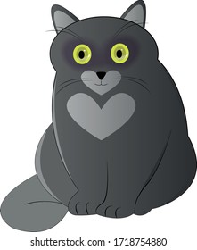 the cat sits and looks full face