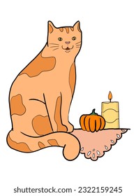 el gato se sienta al lado de una calabaza y una vela