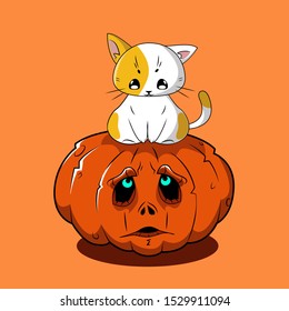 A cat sits on a pumpkin