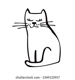 cat sits on a white background
