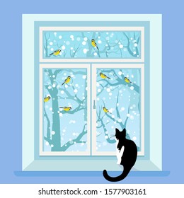 The cat sits on the window and looks at the birds, winter.