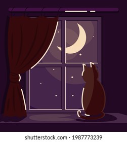 The cat sits on the windowsill and looks into the night starry sky. A room without artificial lighting. Vector illustration