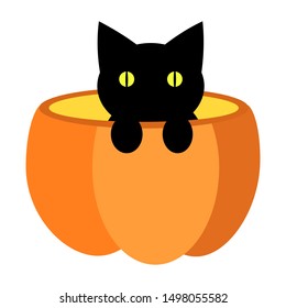 Cat sits in a pumpkin