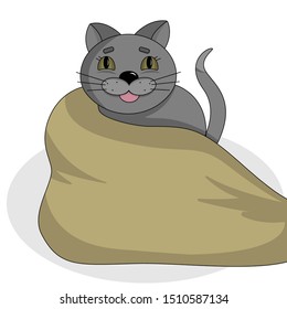 A cat sits wrapped in a blanket