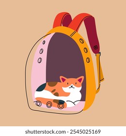 El gato está sentado en una mochila. Transportador de mascotas transparente y bolsa de transporte.