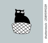 Cat Sitting in a Basket