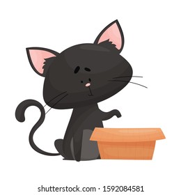 Cat Sitting Beside Cardboard Box Peeping Inside Vector Illustration. Curious Kitty and Carton Box