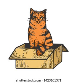 Cat sitting in box color sketch engraving vector illustration. Scratch board style imitation. Black and white hand drawn image.