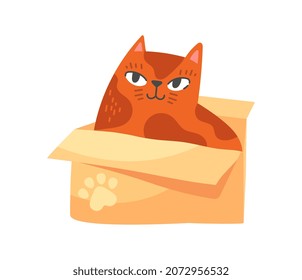 Cat sitting in box. Contented animal in new home. Delivery, garbage, cozy animal shelter. Caring owners, moving, apartment. Fluffy character lying in cardboax. Cartoon flat vector illustration