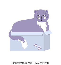 The cat is sitting in a box. Cute cartoon black cat. Vector illustration isolated on a white background.