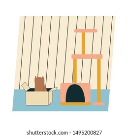 Cat sitting in box instead of new cat house. Usual cat behavior. Flat vector illustration.
