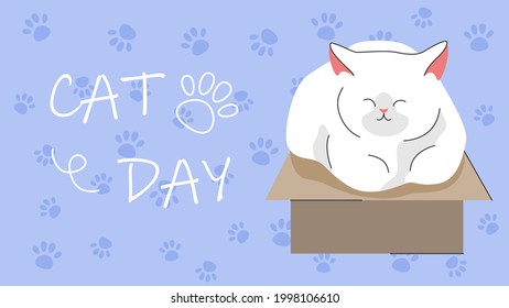 Cat sitting in box. Postcard for the international cat day on August 8. Funny cartoon cat is sitting in a box. Happy animals Print to greeting card, poster, flyer.