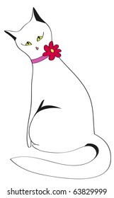 Cat sitting by a back