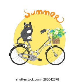 Cat sitting by bicycle against the summer sun.