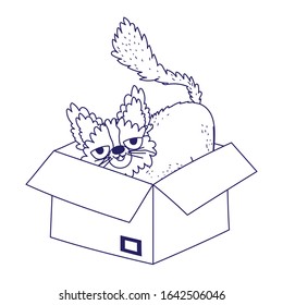 cat sitting in cardboard box abandoned cartoon pets vector illustration lineal design