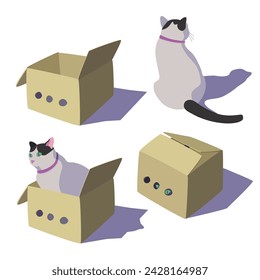 The cat is sitting in a cardboard box. A black and white cat sits next to a cardboard box. Collection of vector illustrations. Isolated objects on a white background.