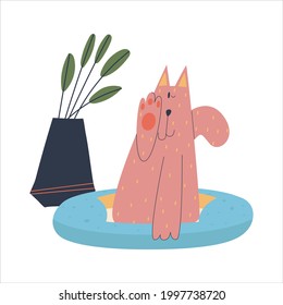 Cat sitting in a cot near a house flower. Vector flat isolated illustration. 