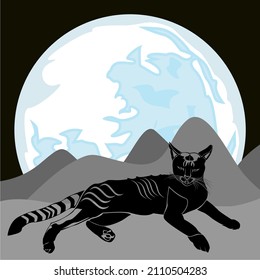 gato sentado frente a la luz de la luna