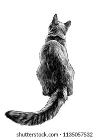 cat sitting in full height rear view on back with long elongated tail, sketch vector graphics monochrome illustration on white background
