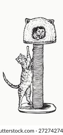 Cat sitting in indoor cat house on the top while other one stretching and trying to reach top, multi feature cat condo with cat scratching, doodle black ink drawing, woodcut vector