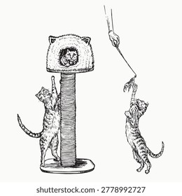 Cat sitting in indoor house on the top while other one stretching and trying to reach top, multi feature cat condo with scratching, and one more cat playing with hand-held toys, doodle black ink drawing, woodcut style