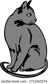 Cat Sitting Looking Over Shoulder Vector Hand-Drawn