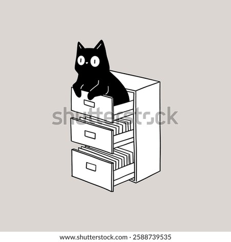 Cat Sitting In the Office Drawer