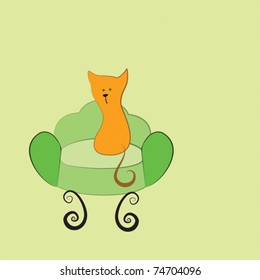 Cat sitting on a chair.