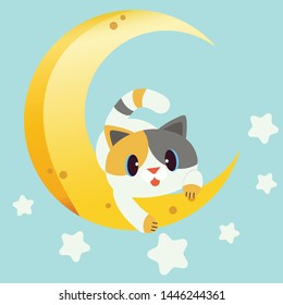 The cat sitting on the Crescent moon with star in flat vector style