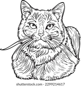 
A cat is sitting on the ground in a crouched position.
