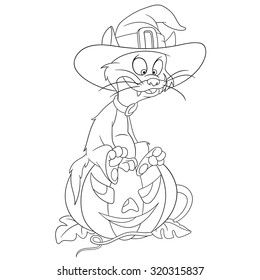 cat is sitting on a halloween pumpkin