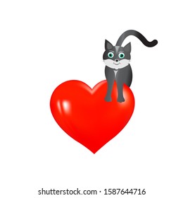 Cat is sitting on a heart