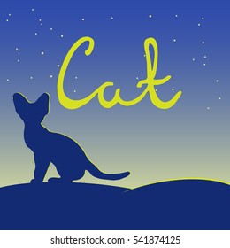Cat sitting on a hill and looking at the night sky. word cat. letters drawn by hand