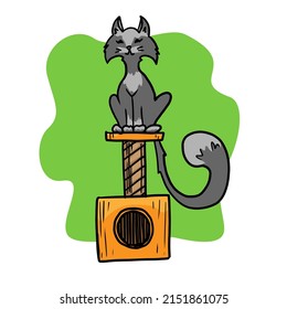 Cat sitting on cat house vector illustration