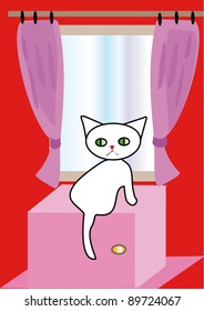 Cat sitting on a mirror